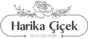 Harikaçiçek.com logo